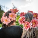 couronne de 6 pivoines