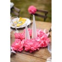 couronne de 6 pivoines