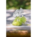 Sachet coeur armuré Vert