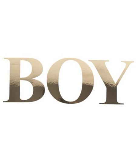 Stickers Boy Or