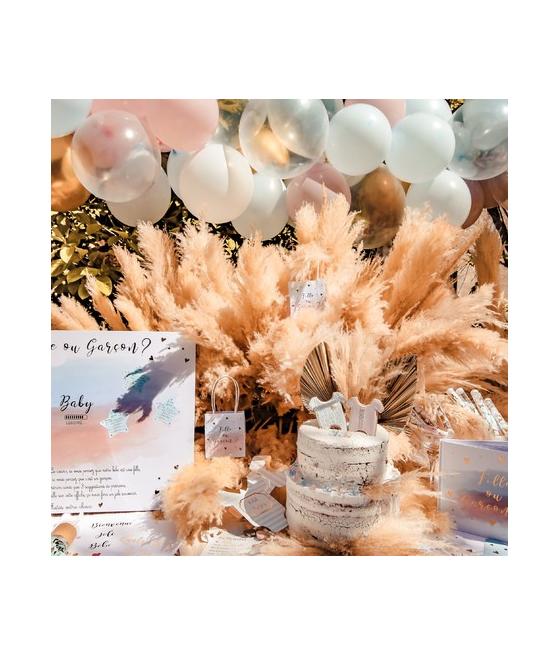 Sacs Cadeaux Gender Reveal