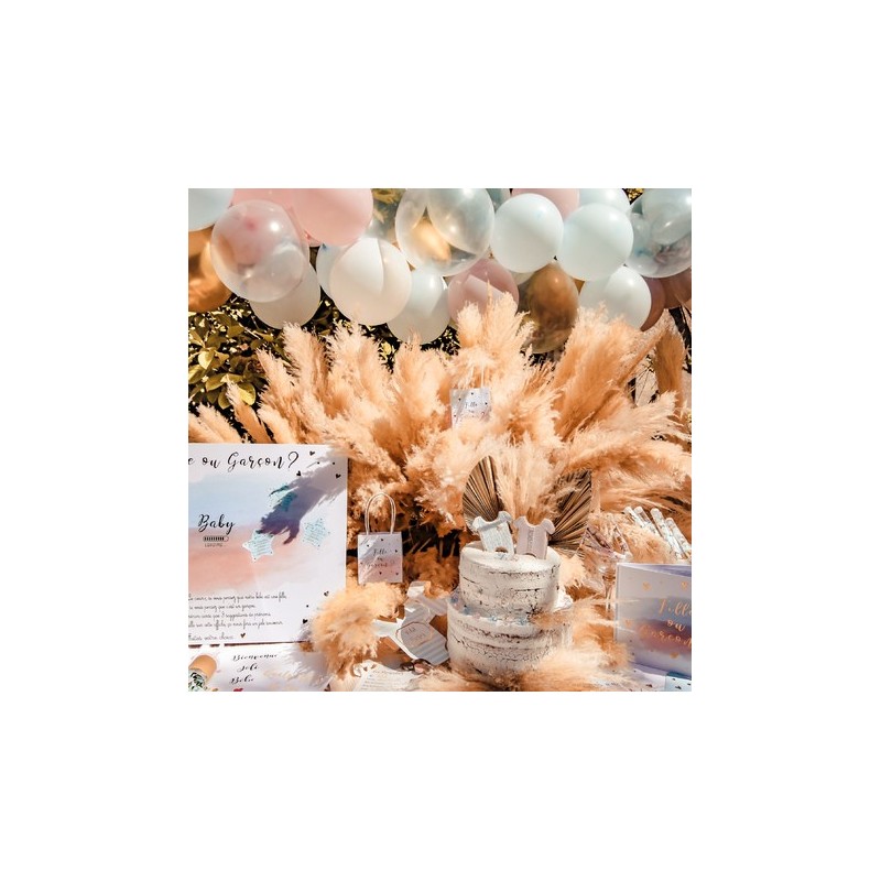 Sacs Cadeaux Gender Reveal