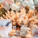 Sacs Cadeaux Gender Reveal