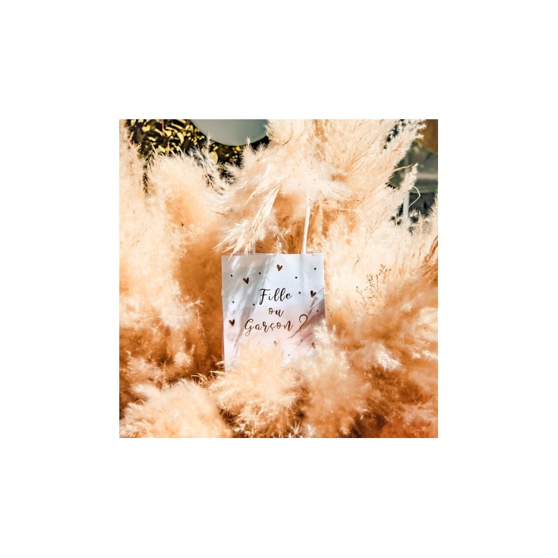 Sacs Cadeaux Gender Reveal