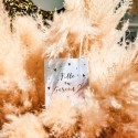 Sacs Cadeaux Gender Reveal