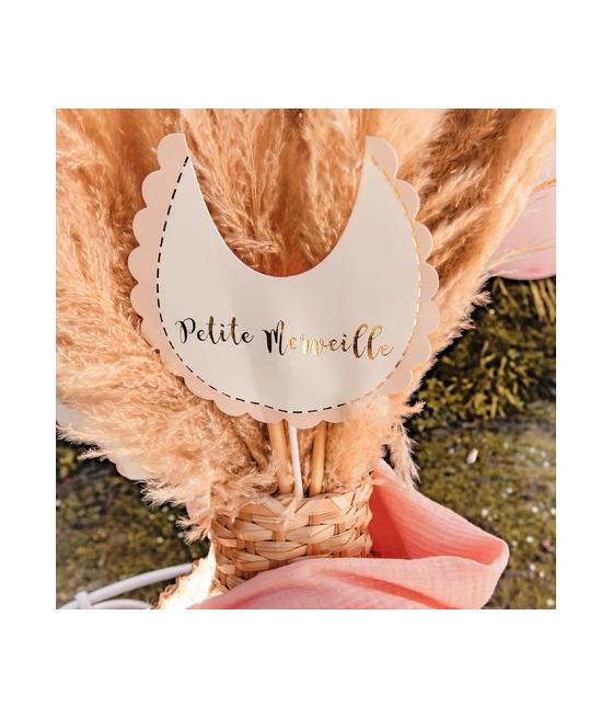 Kit Photobooth Baby Shower Fille