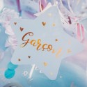 Déco De Table Gender Reveal Fille ou Garçon
