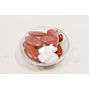  DISQUES TRANSPARENTS  cm 