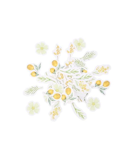 100 Confettis Mimosa, Citrons et Feuillages