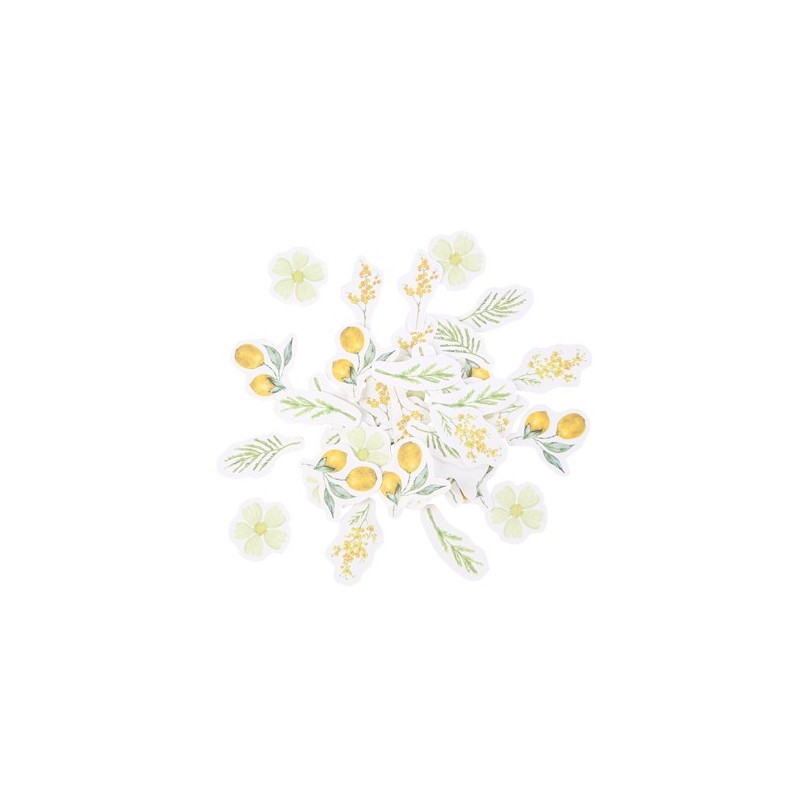 100 Confettis Mimosa, Citrons et Feuillages