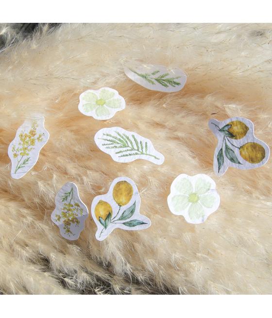 100 Confettis Mimosa, Citrons et Feuillages