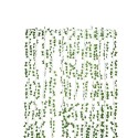 Guirlandes Feuilles De Lierre Vert