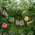 Guirlande La Vie Est Belle