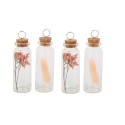 Fioles Marque-Places Verre