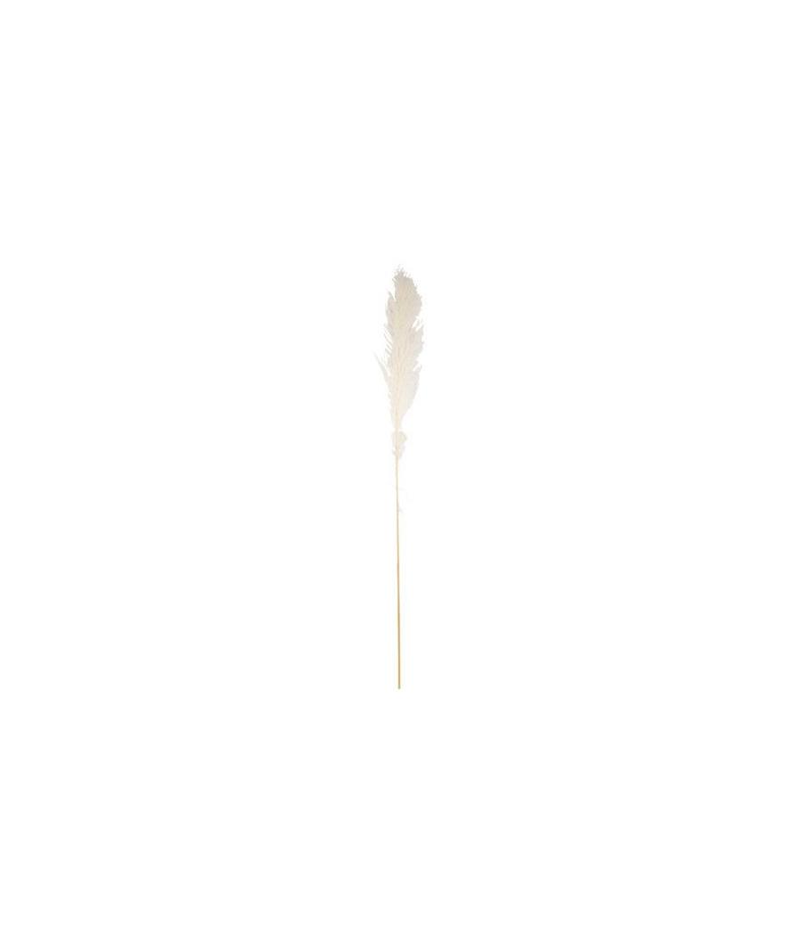 Pampa Garnie La Audette Blanche