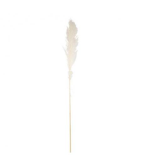 Pampa Garnie La Audette Blanche