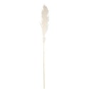 Pampa Garnie La Audette Blanche