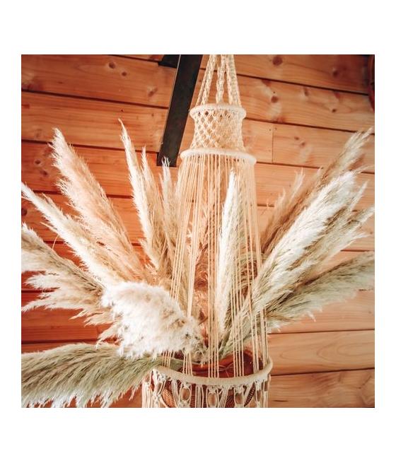 Pampa Garnie La Audette Blanche