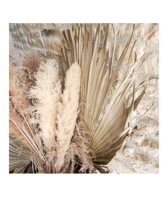 Pampa Garnie La Audette Blanche