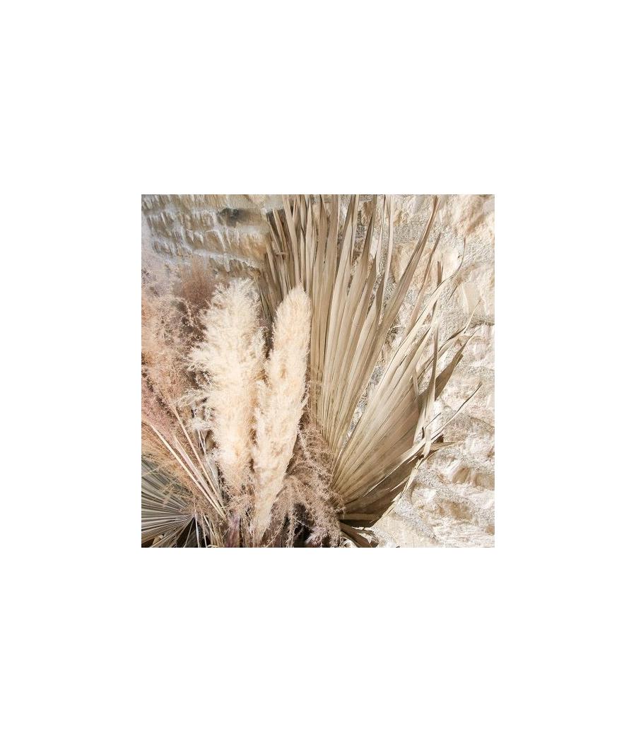 Pampa Garnie La Audette Blanche