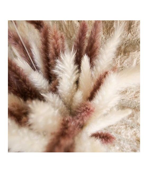 15 Epis de Plumeaux Blancs