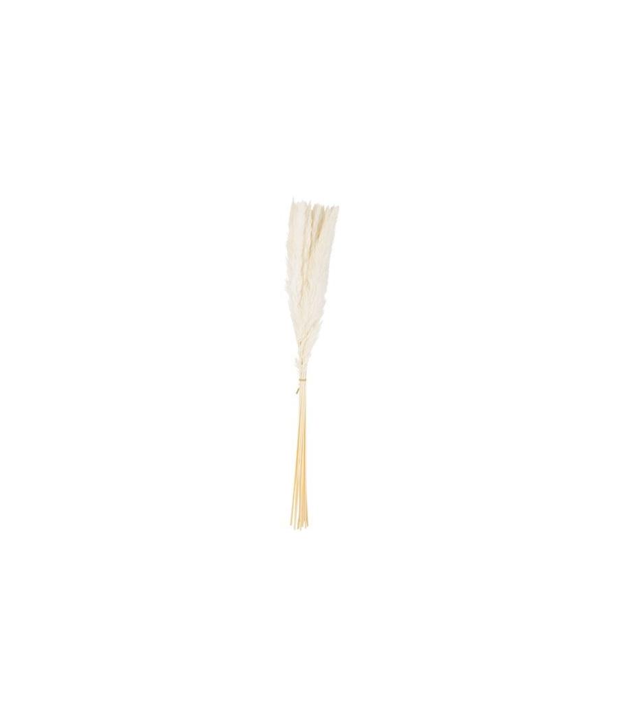 15 Epis de Plumeaux Blancs