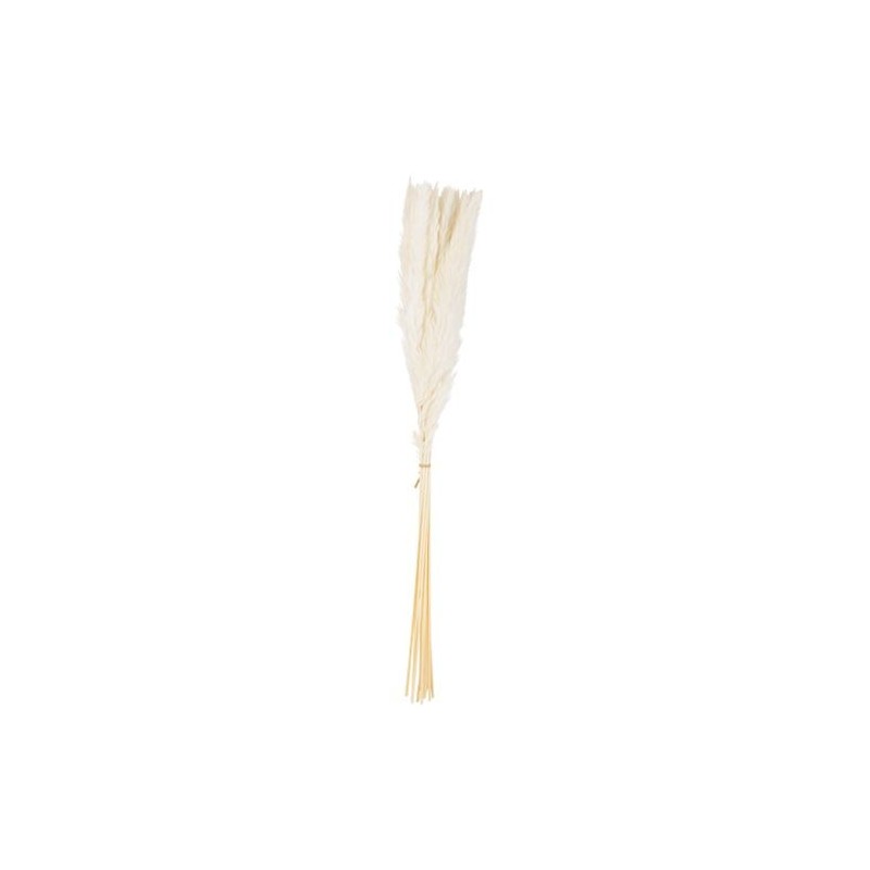 15 Epis de Plumeaux Blancs
