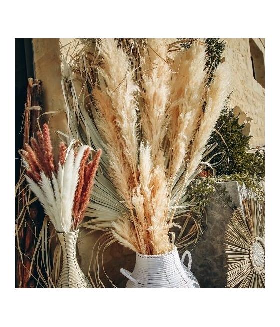 15 Epis de Plumeaux Blancs