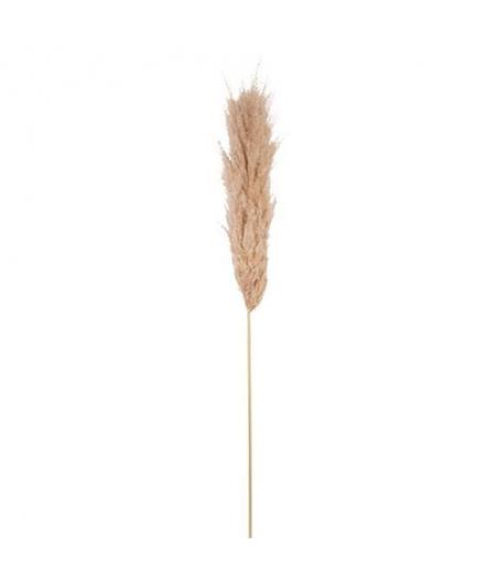 Pampa Garnie La Marjorette Naturelle