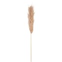 Pampa Garnie La Marjorette Naturelle