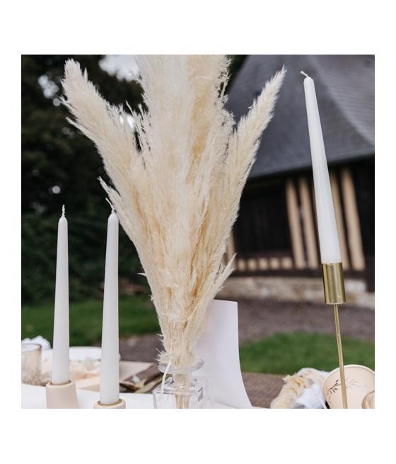 Pampa Garnie La Marjorette Naturelle