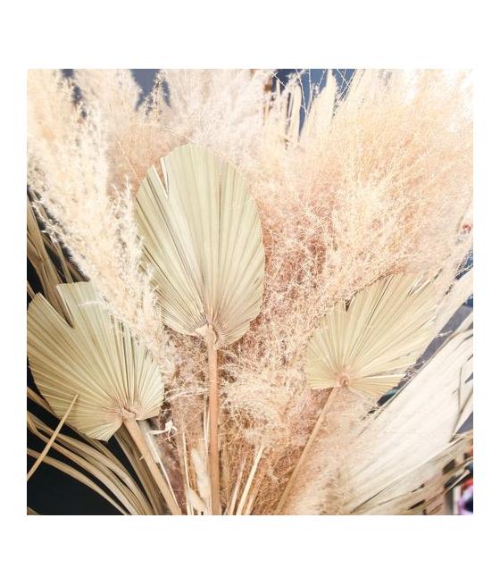 Pampa Garnie La Marjorette Naturelle