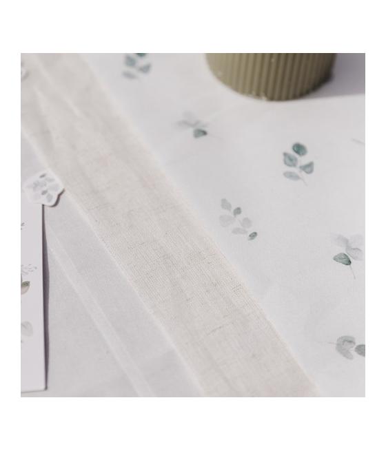 Chemin de Table Jardin Botanique