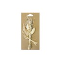 Bouquet de fleurs séchées avec brin de lavande naturel