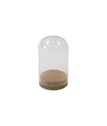 Cloche en verre 10cm + support liège - Convient pour aliment