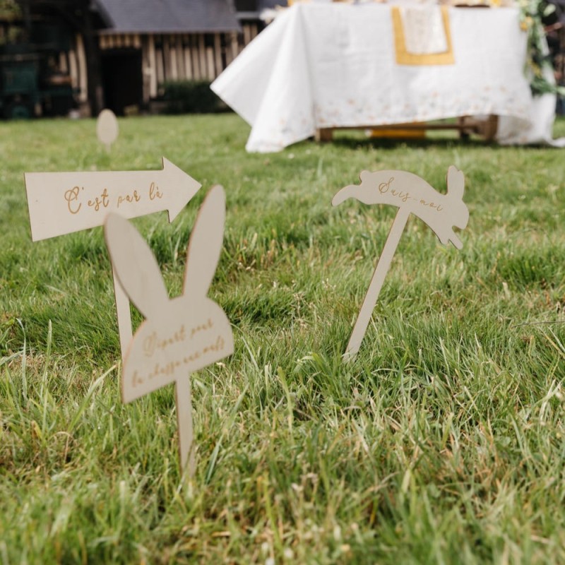 Flèches Directionnelles