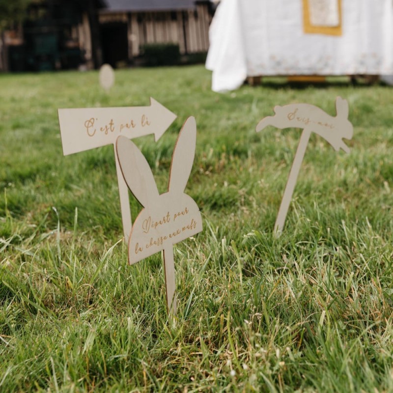 Flèches Directionnelles