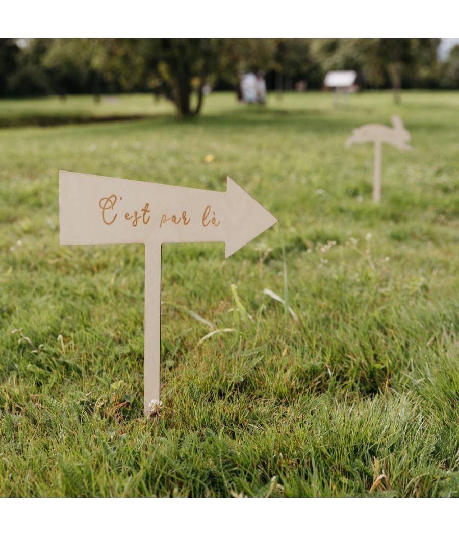 Flèches Directionnelles