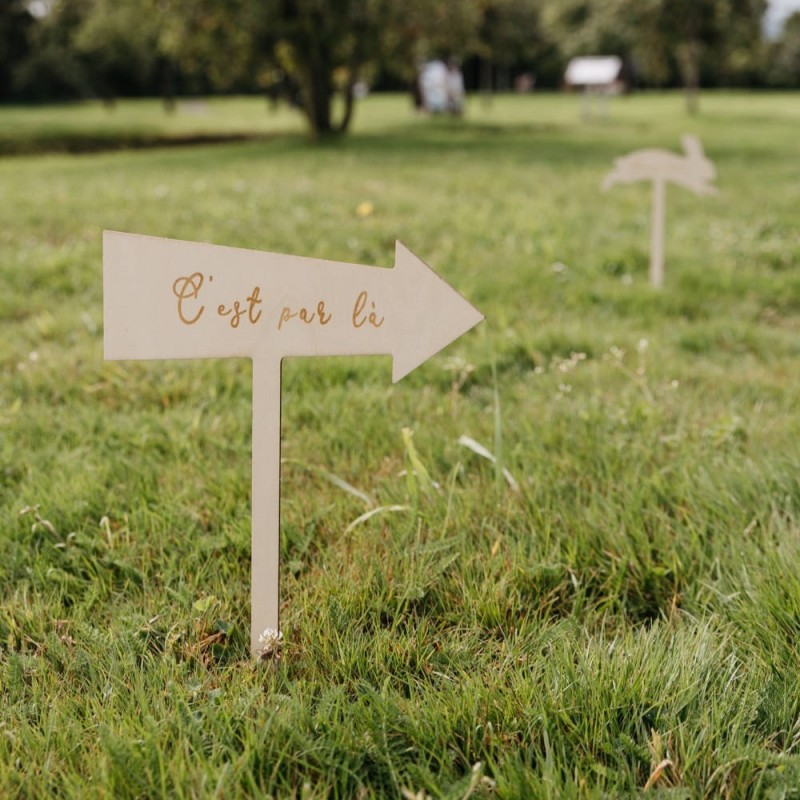 Flèches Directionnelles