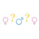 Banderole Girl or Boy