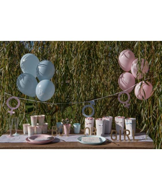 Banderole Girl or Boy