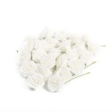 24 Roses Mousse Blanche