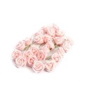 24 Roses Mousse Rose