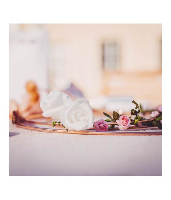 Roses Mousse Blanches