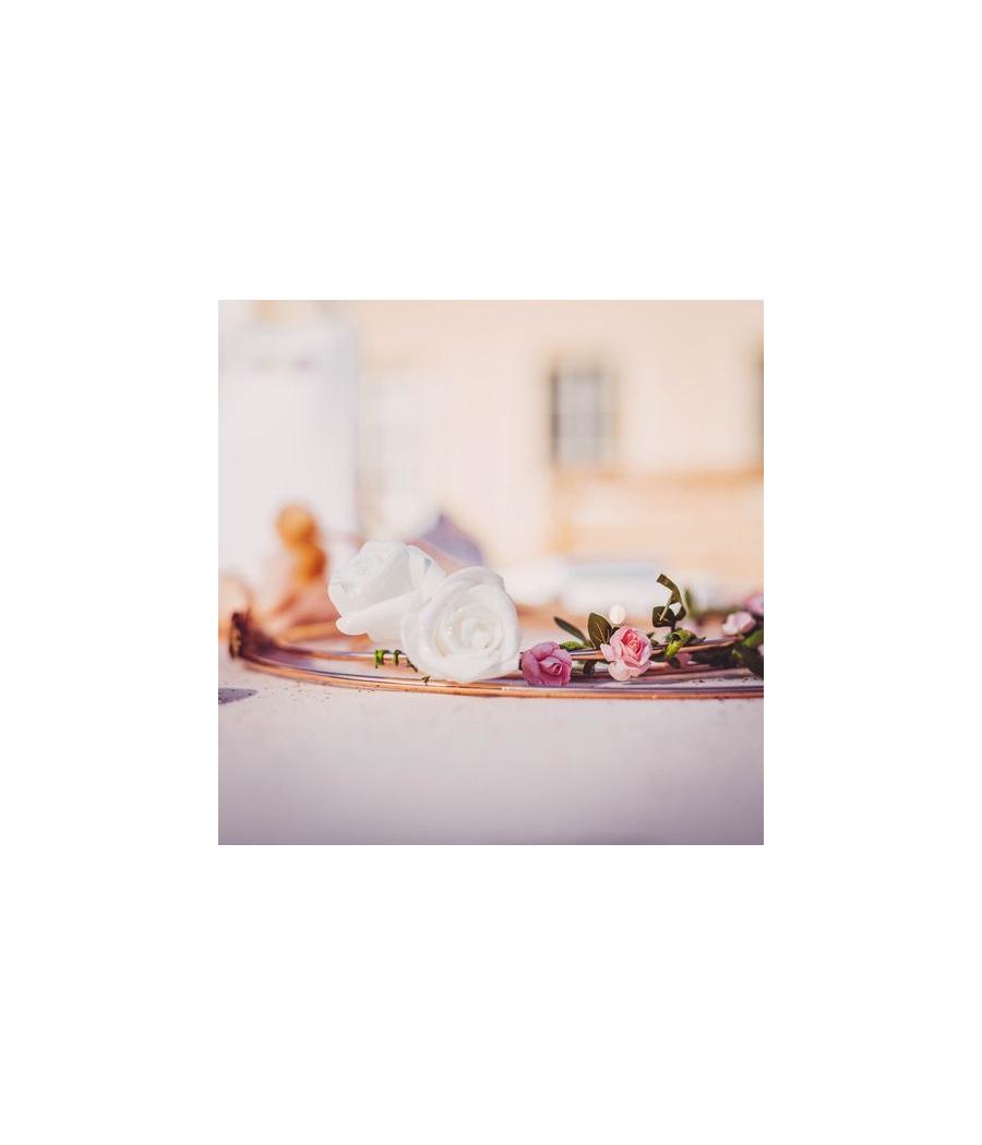 Roses Mousse Blanches
