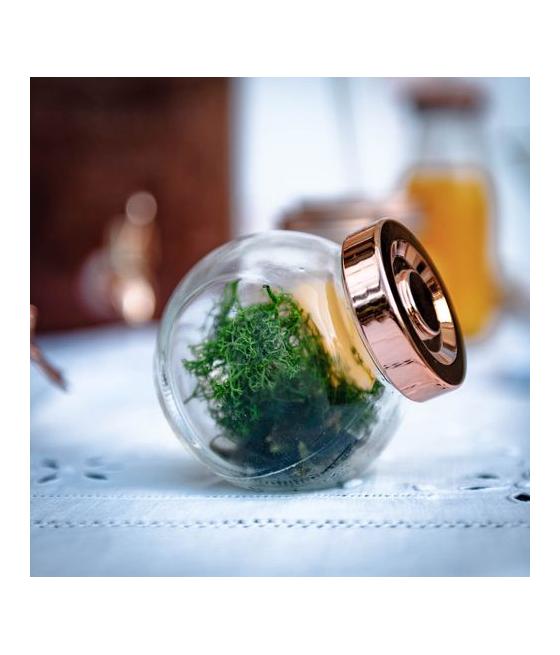 Bocal d'Épicerie Verre