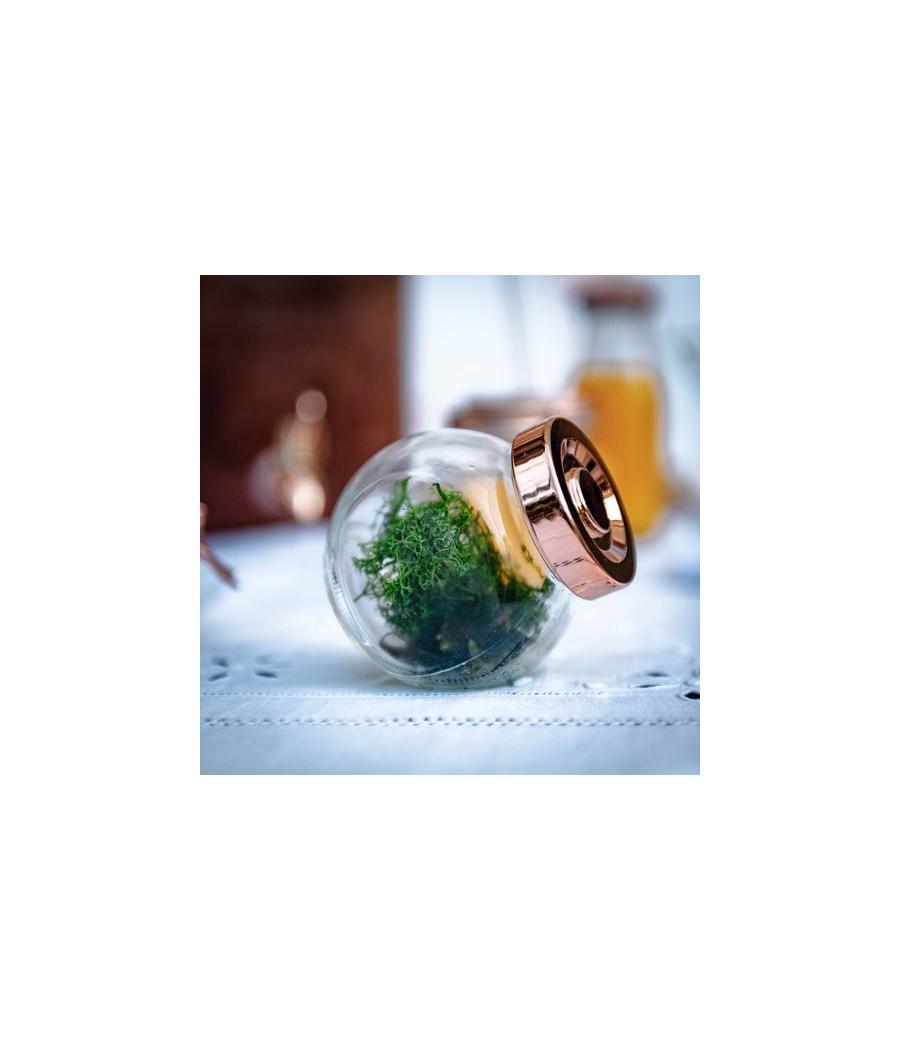 Bocal d'Épicerie Verre