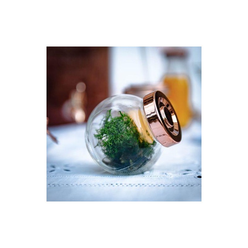 Bocal d'Épicerie Verre
