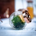 Bocal d'Épicerie Verre