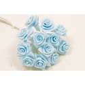 MINI ROSE CIEL